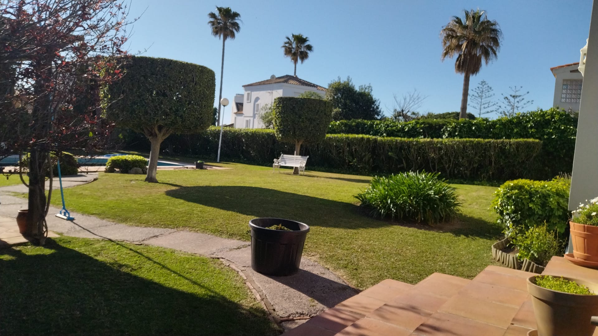 Desbroce de parcelas