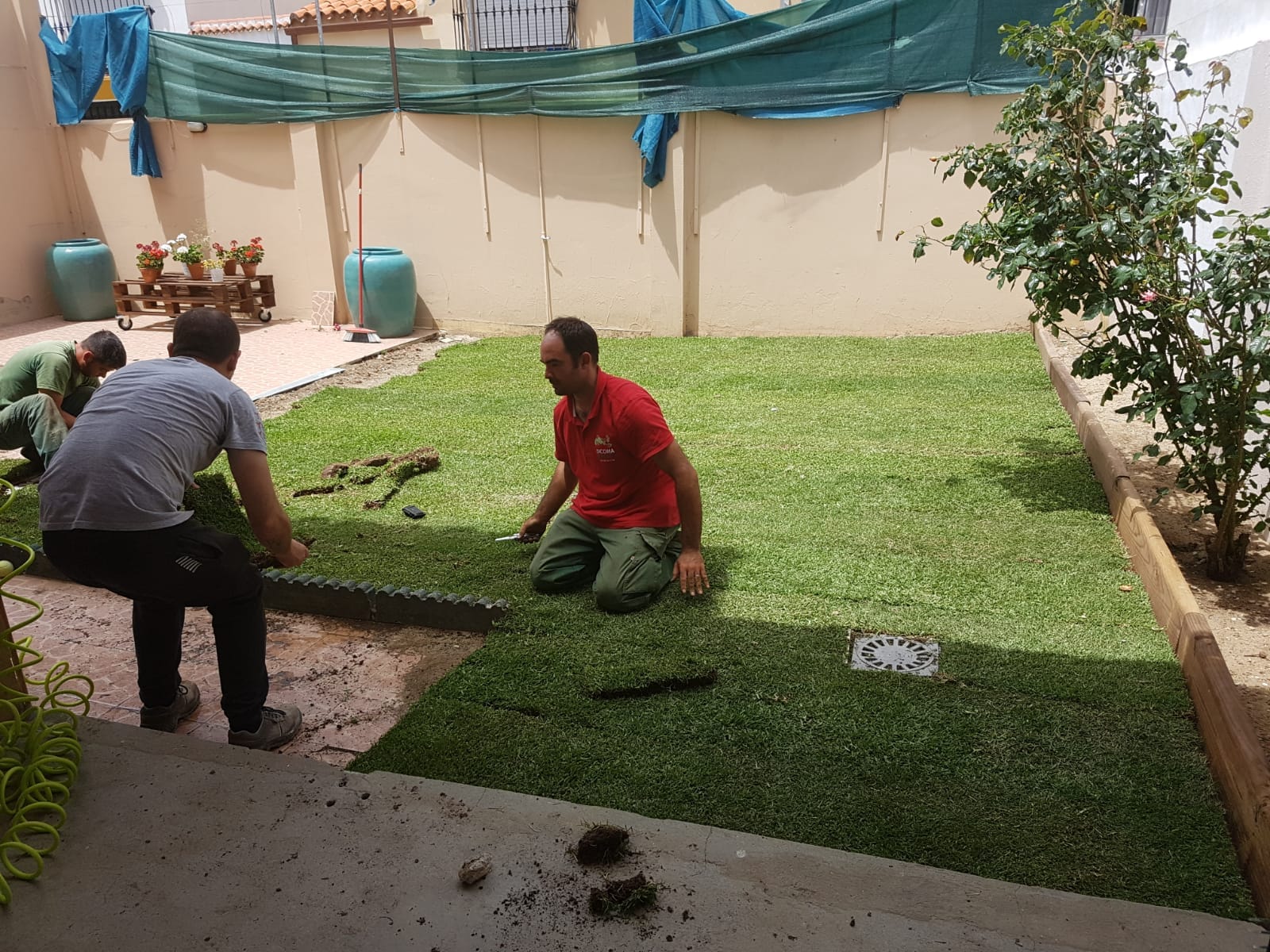 Operarios montando un jardín